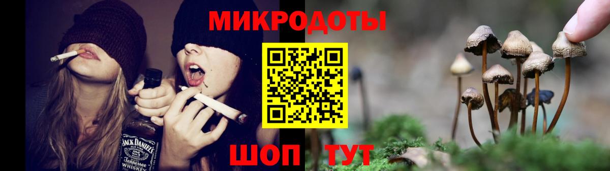 Киселёвск  Галлюциногенные грибы прущие грибы  Вход с VPN 